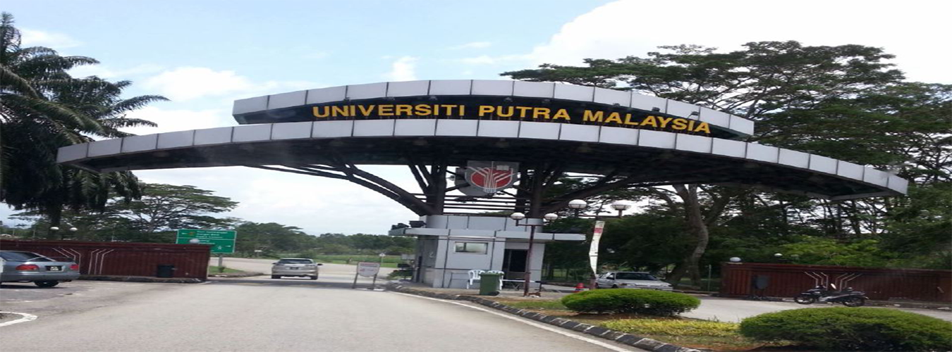 university